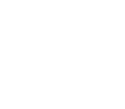 lineamientos-01.png